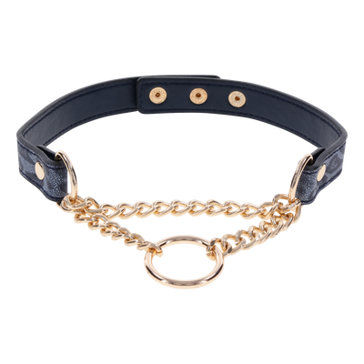 Cougar Day Collar BDSM Necklace